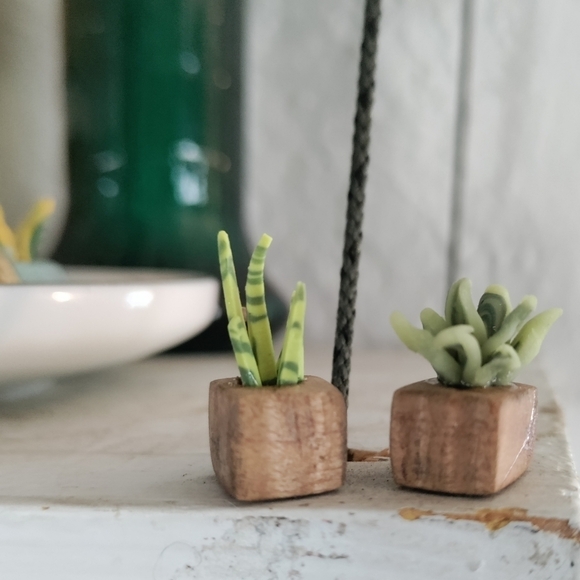6 Polymer clay & tiger maple potted plants - Picture 2 of 11